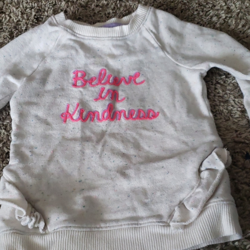 Toddler girls sweatshirt bundle